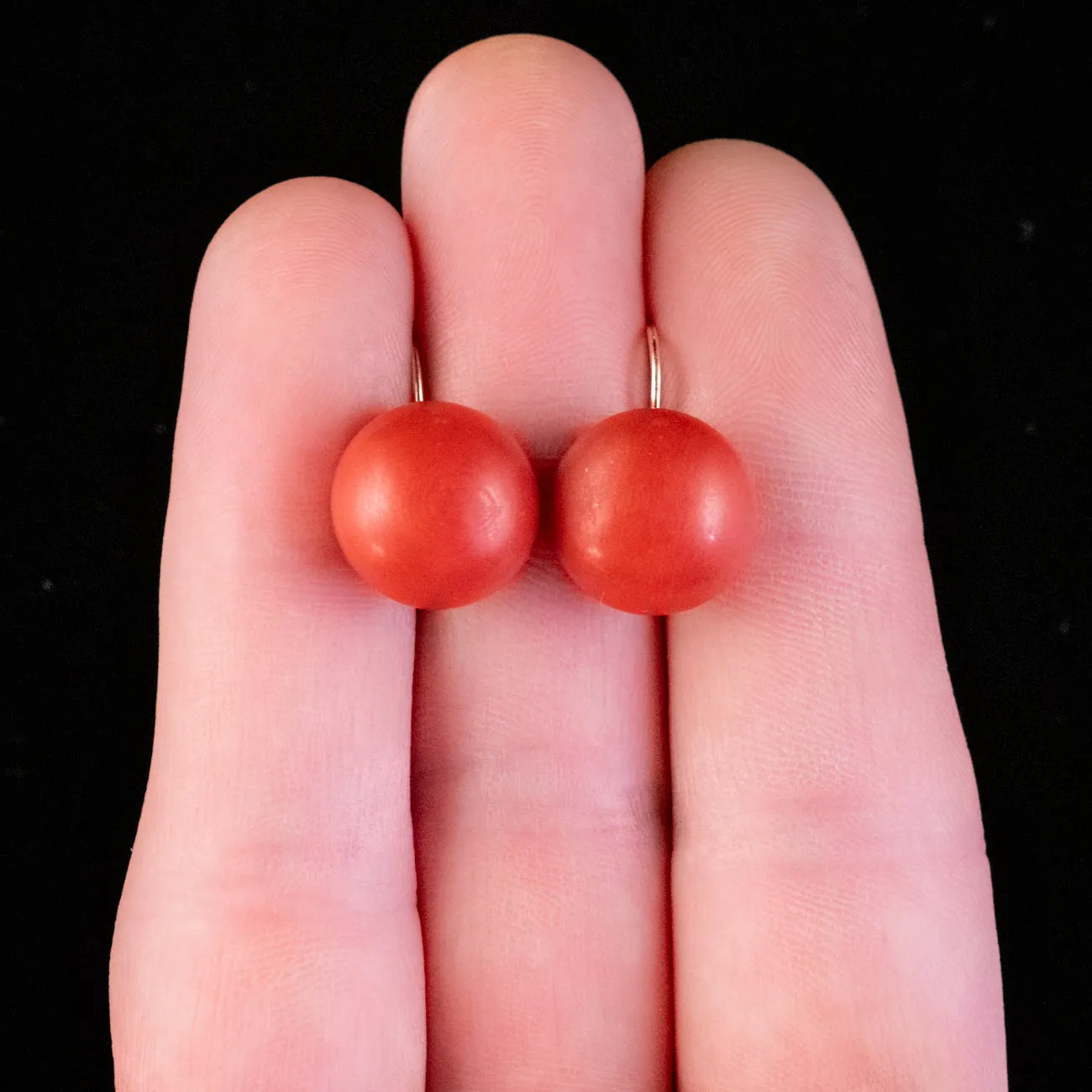 Antique Victorian Coral Earrings 18ct Gold Circa 1880