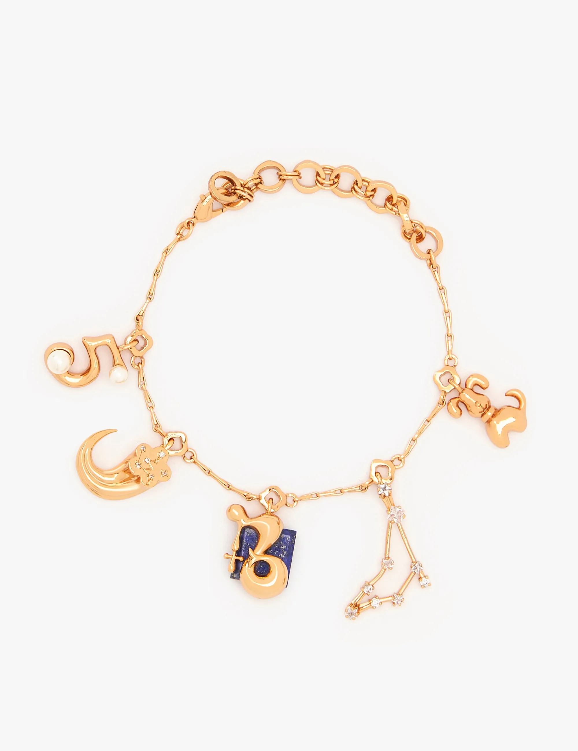 Capricorn Charm Bracelet