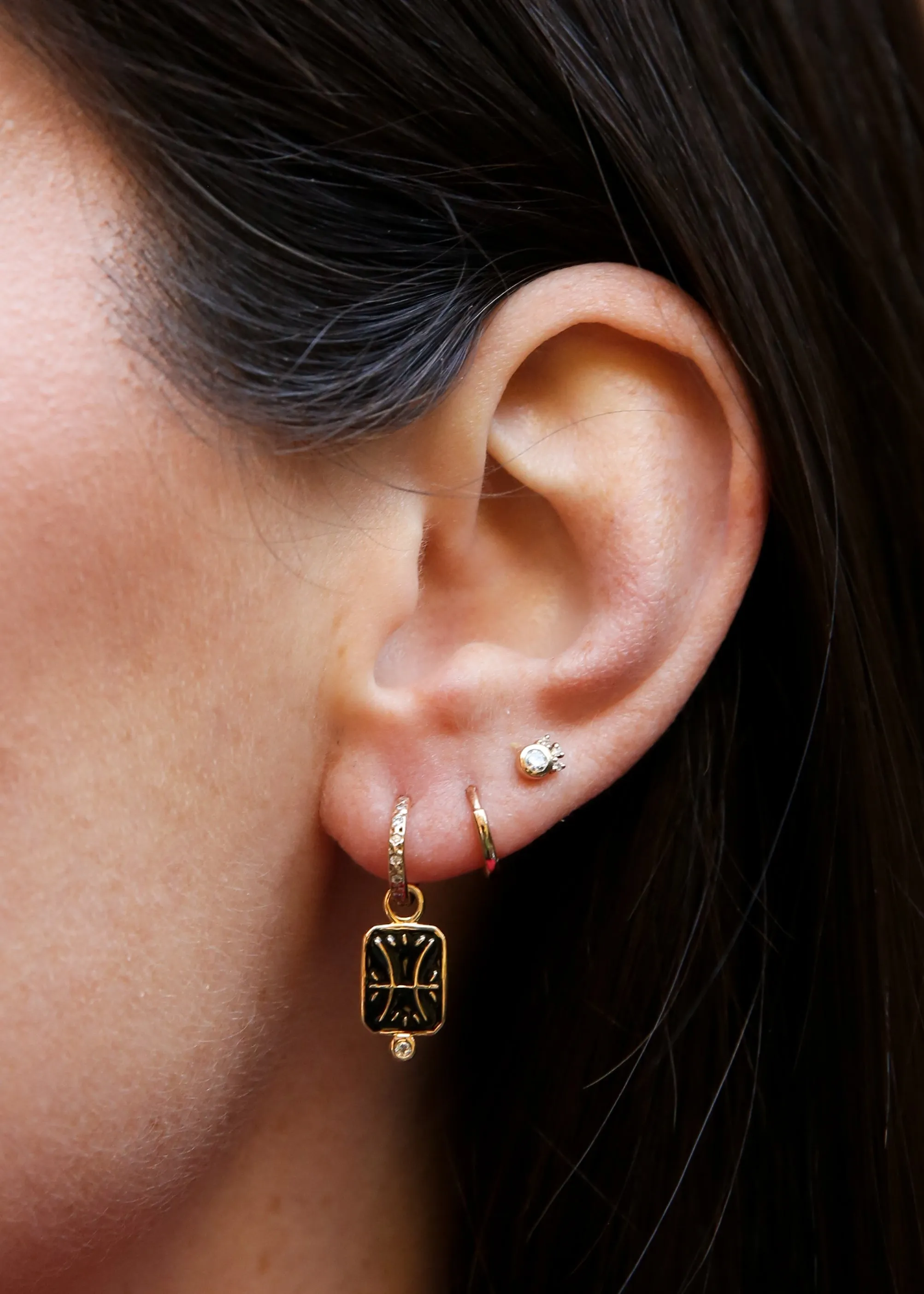 Pisces Charm